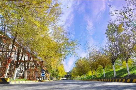 澳门永利矿冶天蓝地绿的园区环境 （蔡金龙 摄）