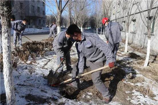 澳门永利矿冶植树绿化现场（杨云 摄）