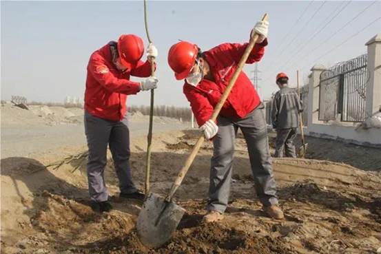 托克逊能化植树绿化现。ɡ钐煜 摄）