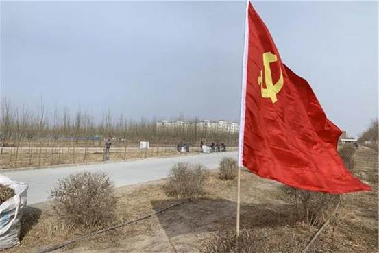 澳门永利纺织集团植树绿化现场 （沈智芳摄）