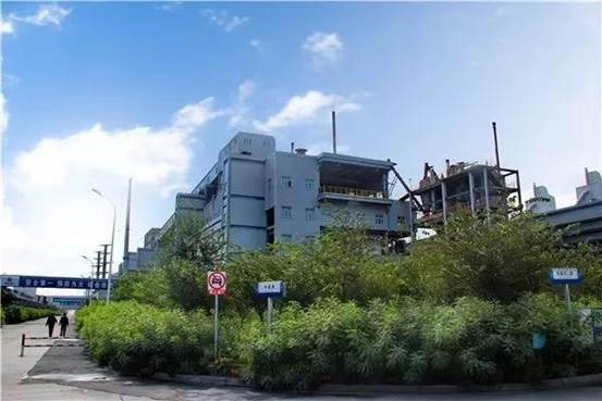 绿化、美化后的生产区 （高玲 摄）