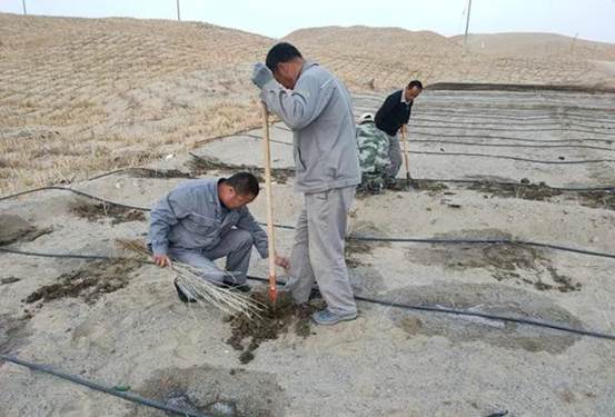 巡线班植树现。ㄖ炖窬 摄）