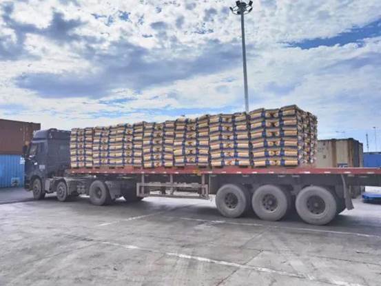 澳门永利进出口公司PVC出口发货现。ㄎ獯 摄）